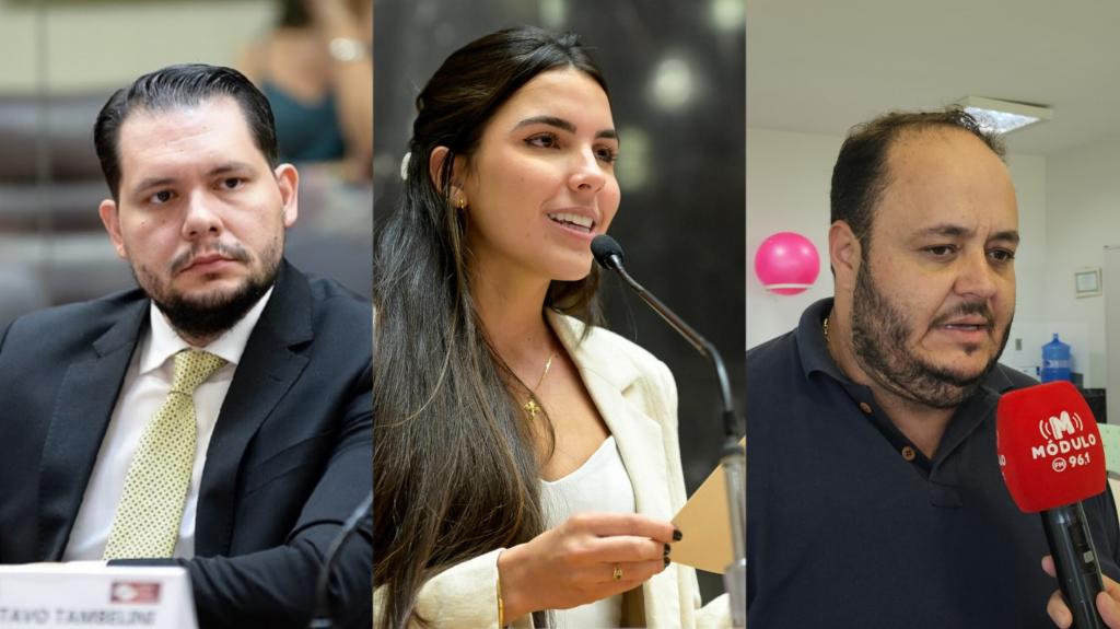 Wellington Mamazão, Maria Clara Marra e Gustavo Brasileiro serão homenageados no Mérito Legislativo da Câmara Municipal