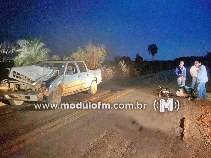 Colisão entre caminhonete e bovino deixa animal morto e...
