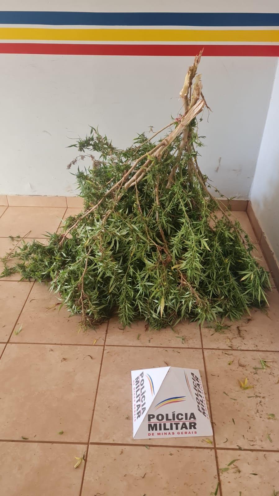 Imagem 2 do post Megaoperação policial desmantela quadrilha do tráfico de drogas em Coromandel e região
