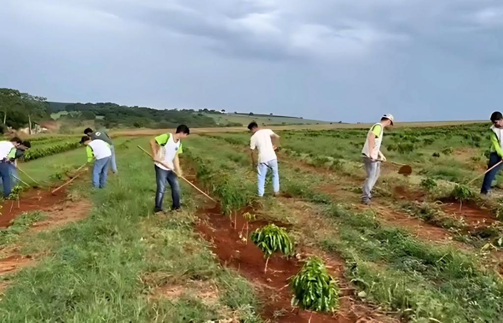 Prefeitura publica lei que institui programa de bolsas para curso técnico em Agropecuária em Patrocínio