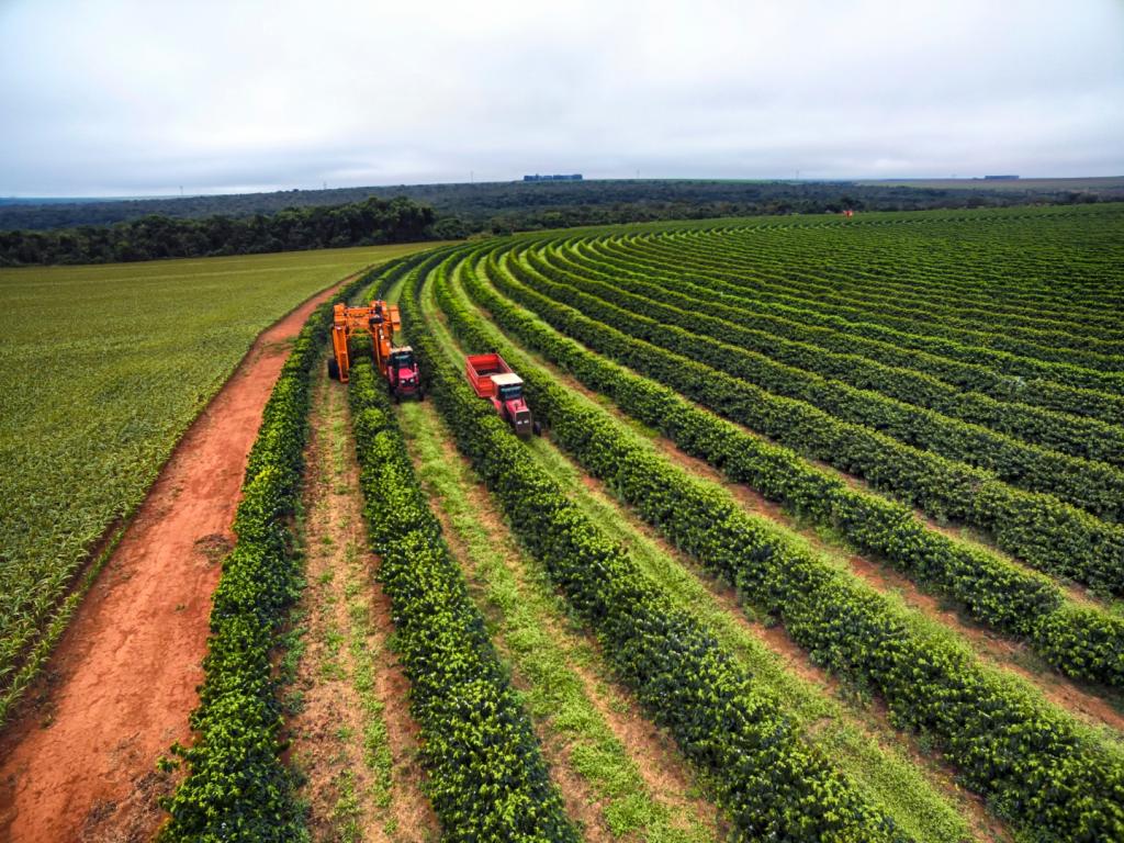 Governo anuncia Plano Safra 2025/2026 com R$ 516 bilhões para médios e grandes produtores