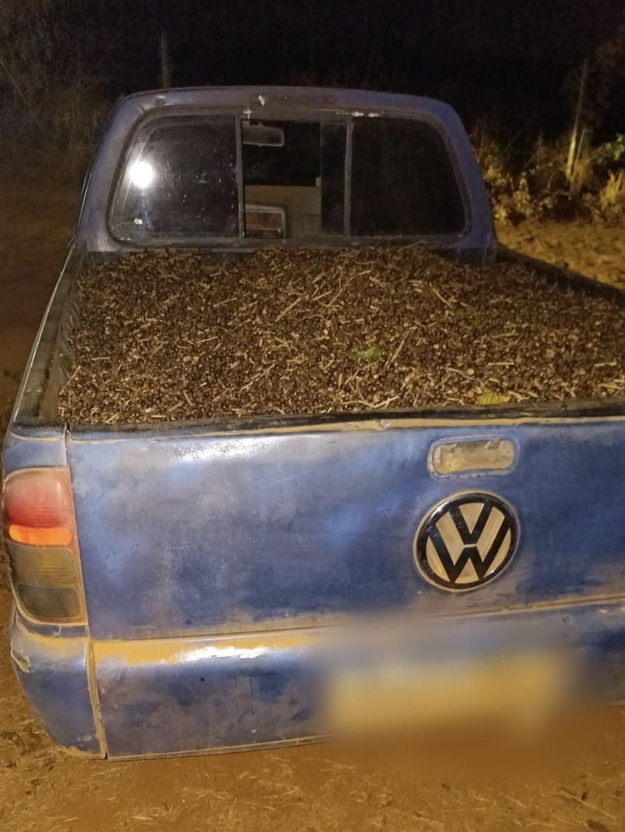 Funcionário é preso suspeito de furtar carga de café em fazenda de Patrocínio