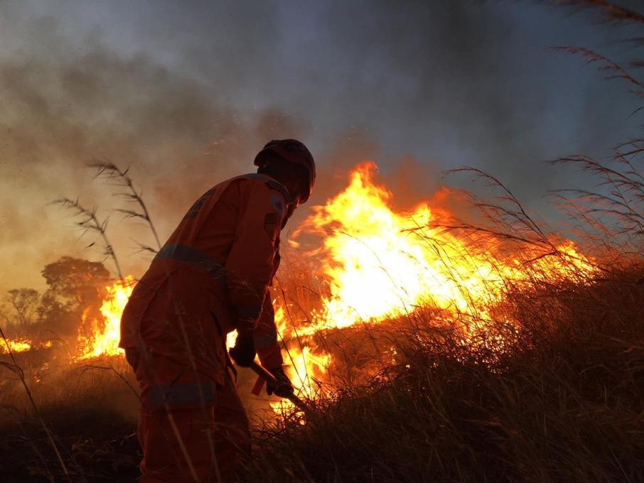 Incêndio destrói 20 hectares de reserva ambiental em Patrocínio e mobiliza bombeiros...