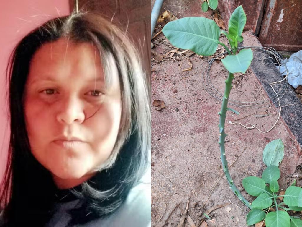 Mulher que morreu por intoxicação causada por falsa couve será sepultada nesta terça-feira