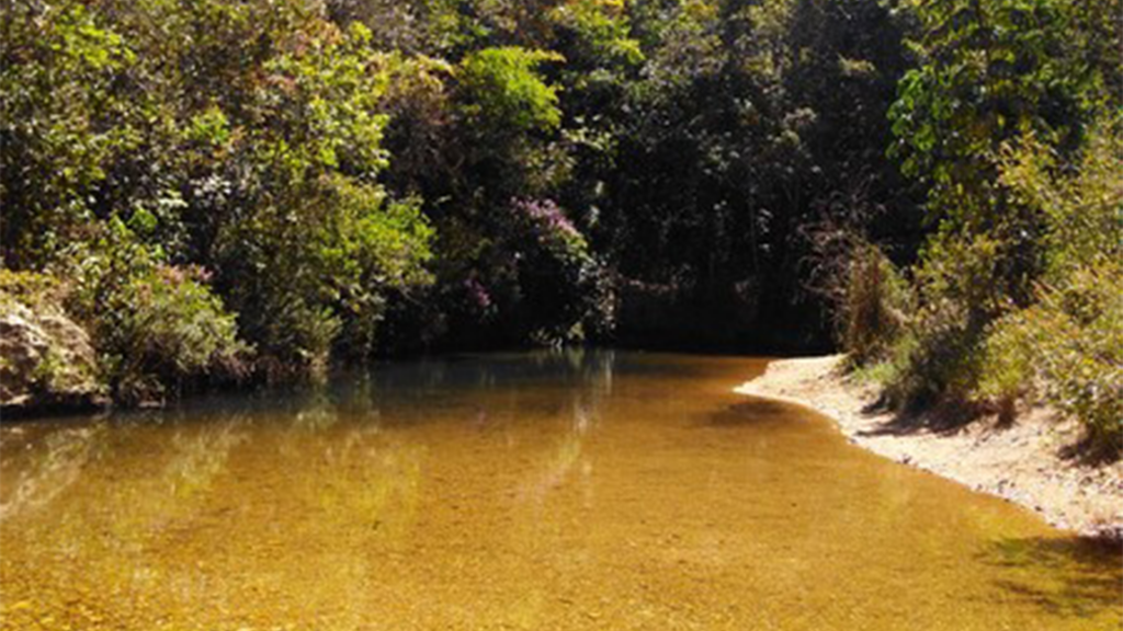 Projeto prevê ações para segurança hídrica na bacia do córrego Feio em...