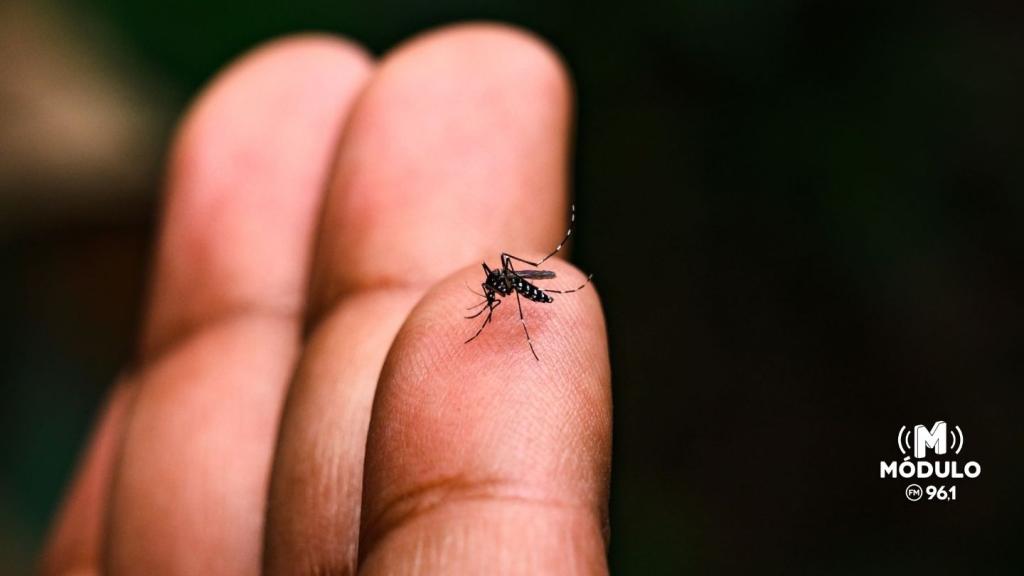 Patos de Minas confirma primeira morte por dengue em 2026; Patrocínio segue sem óbitos registrados